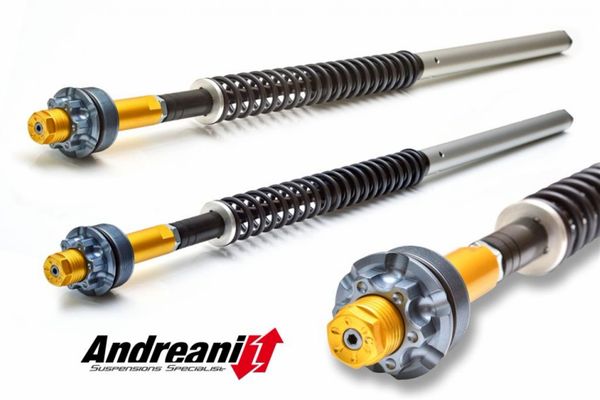 Andreani-Misano-cartridge-kit
