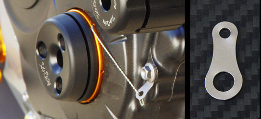 TITANIUM LOCKING PLATE